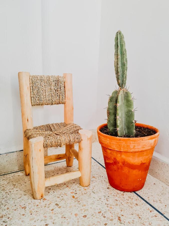 Хостел Cactus Surf House Tamraght Екстер'єр фото